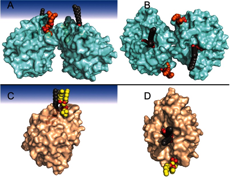 FIGURE 7.