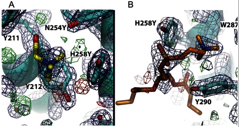 FIGURE 4.