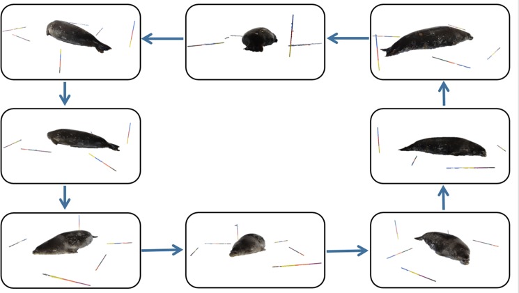 Fig 1