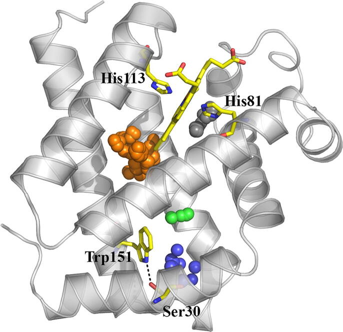 Fig. 6