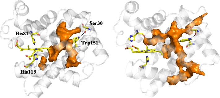 Fig. 7