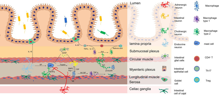 Figure 1