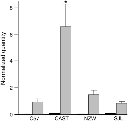 Figure 3.—