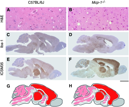 Figure 2.—