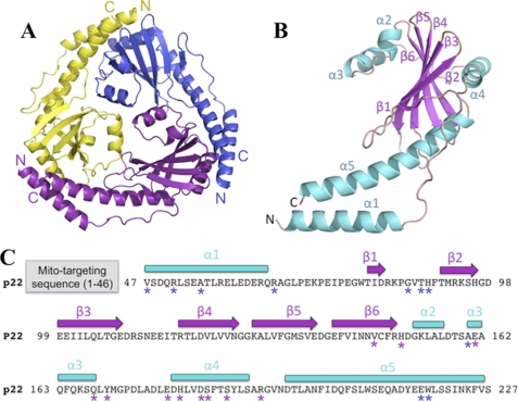 FIGURE 1.