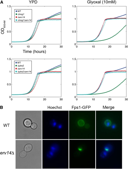 Figure 6 