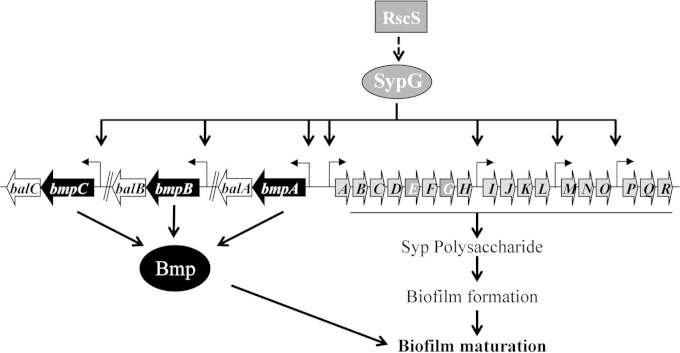 FIG 1