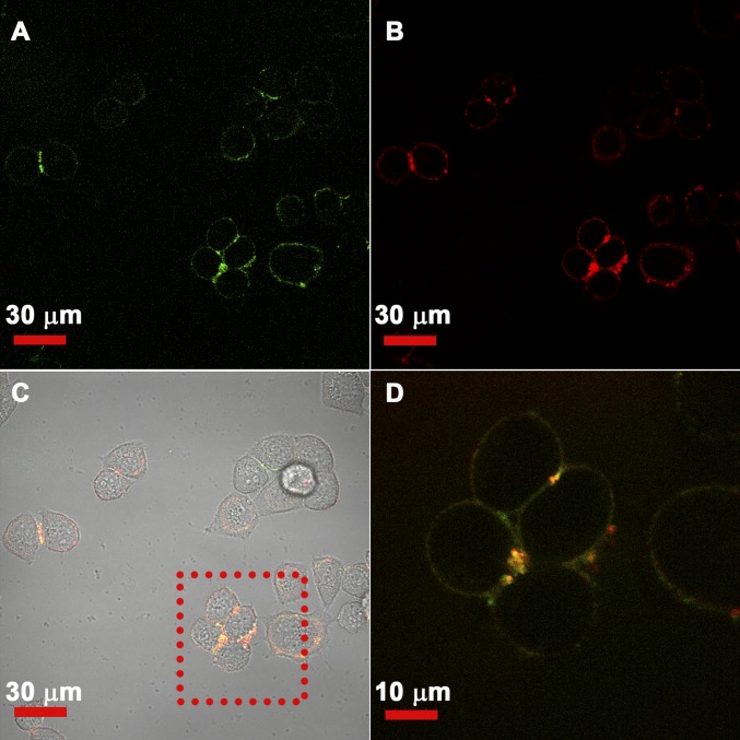 Fig. 8.