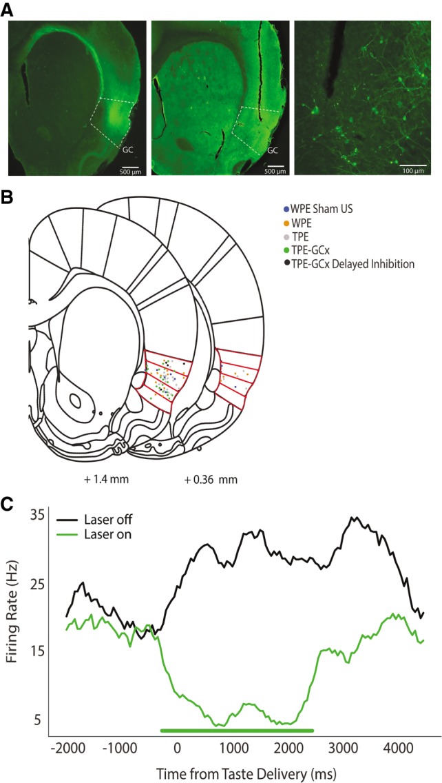 Figure 5.