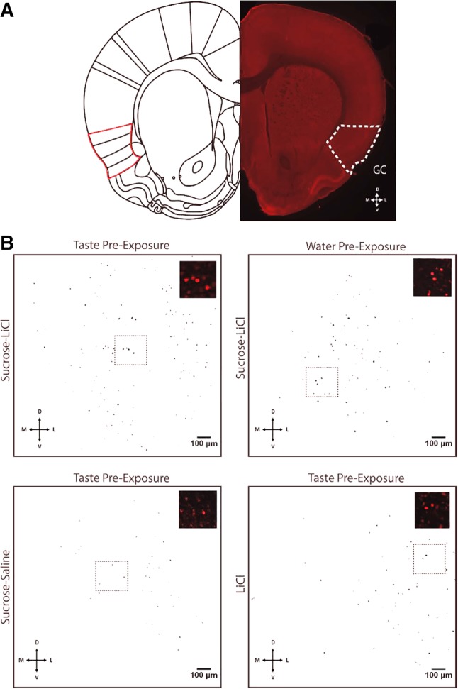 Figure 2.