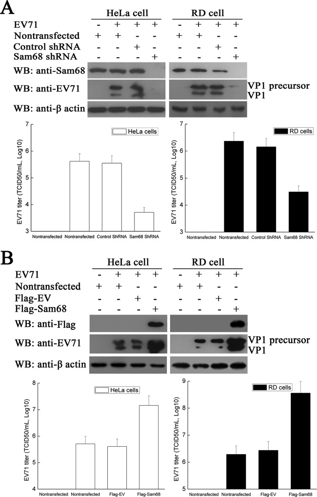 FIG 7