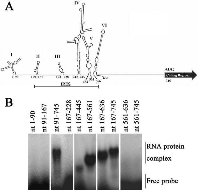 FIG 2