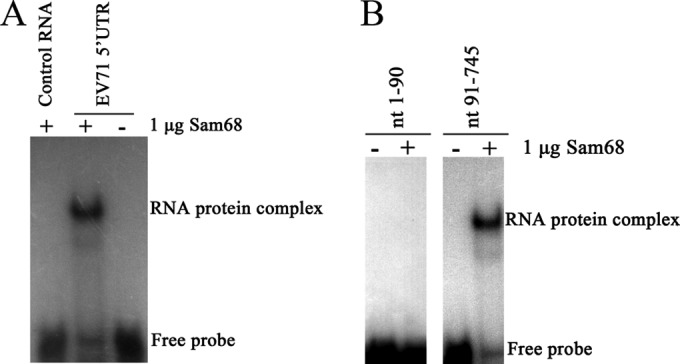 FIG 1