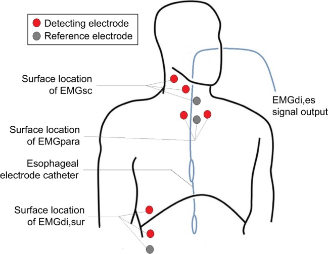 Correlation and compatibility between surface respiratory ...