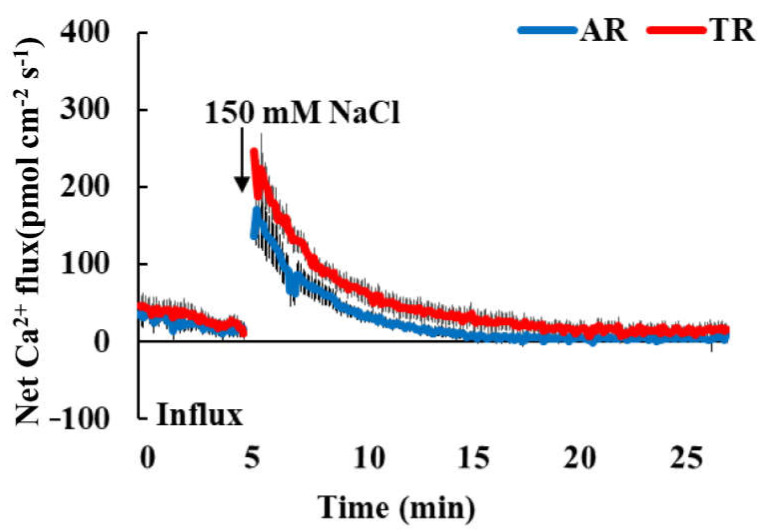 Figure 5