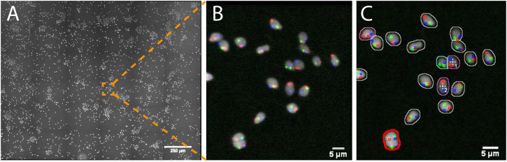 FIGURE 3