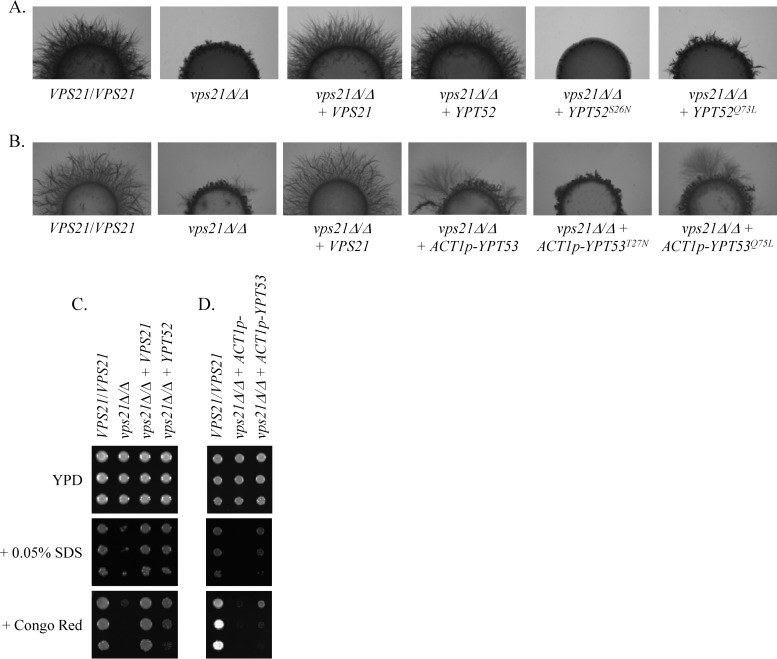 Fig 2