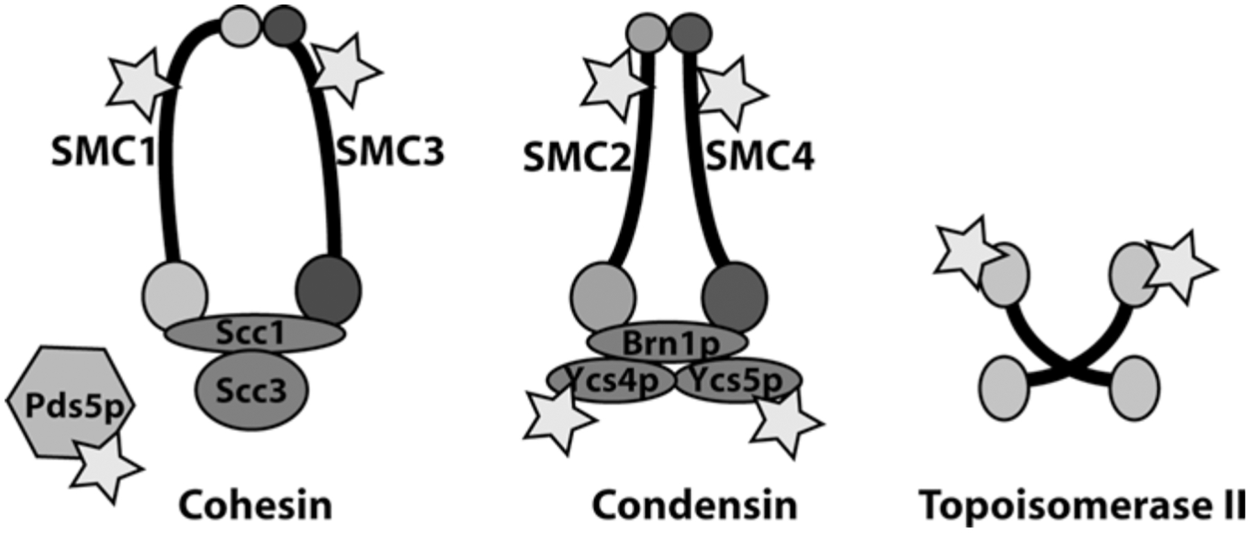 Fig. 10.2