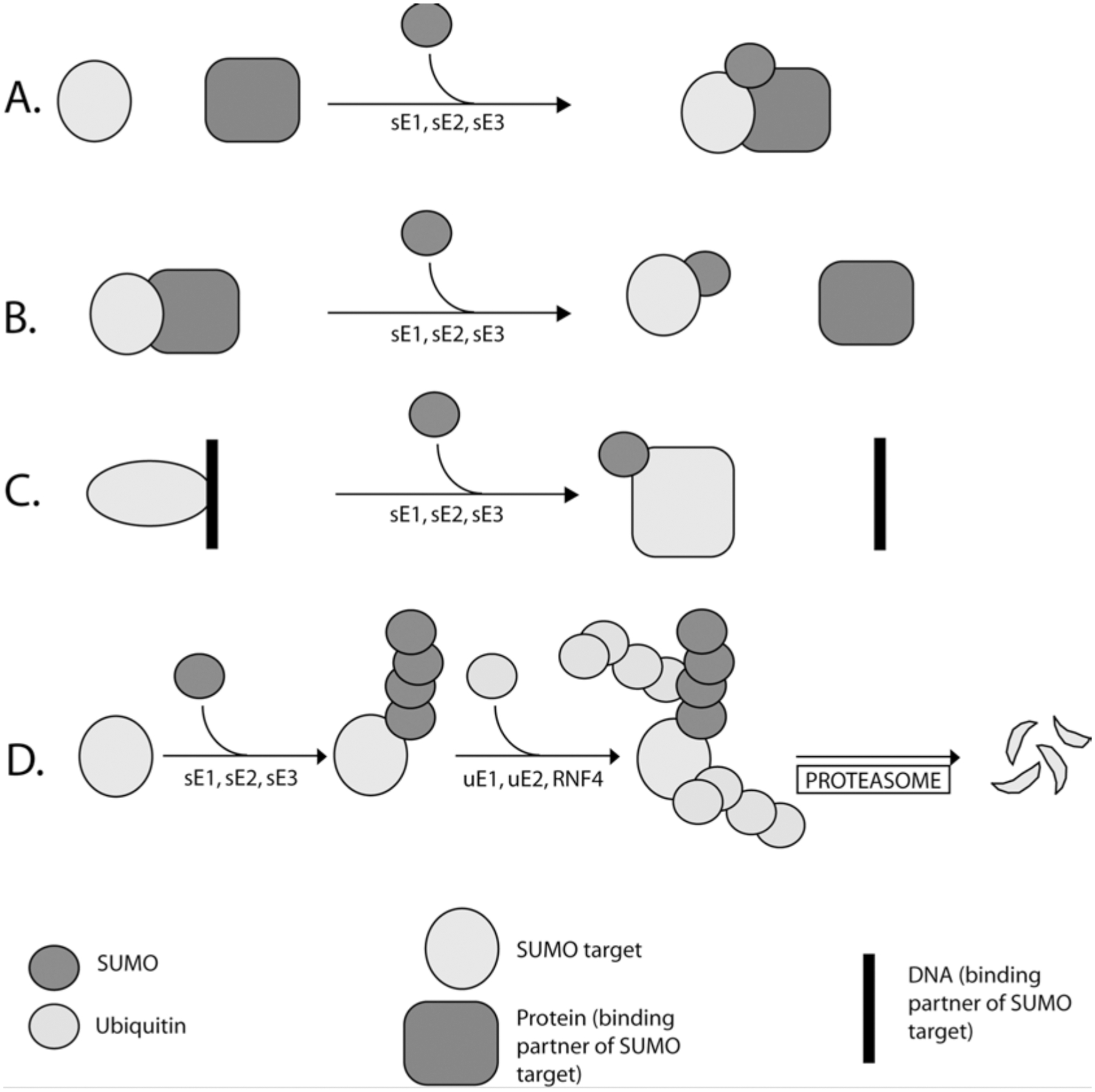 Fig. 10.1