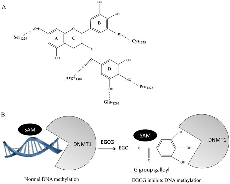 Fig. (5)