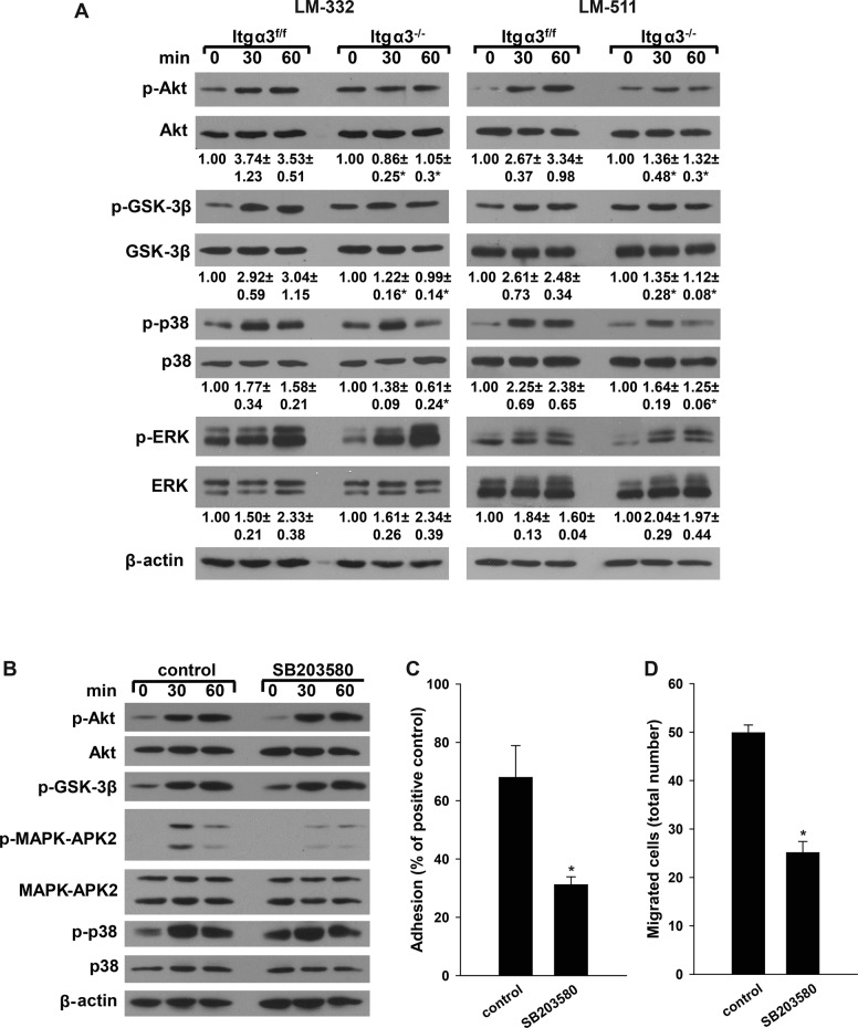 FIGURE 4: