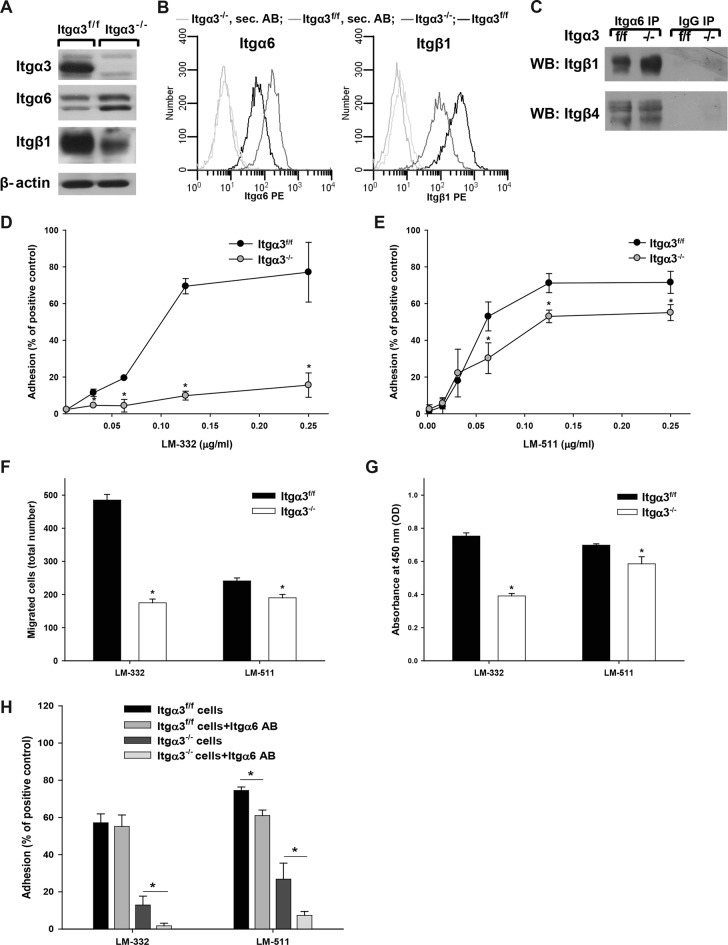 FIGURE 3: