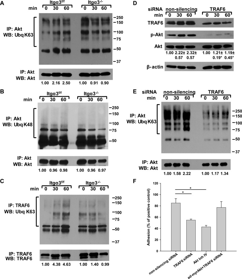 FIGURE 7: