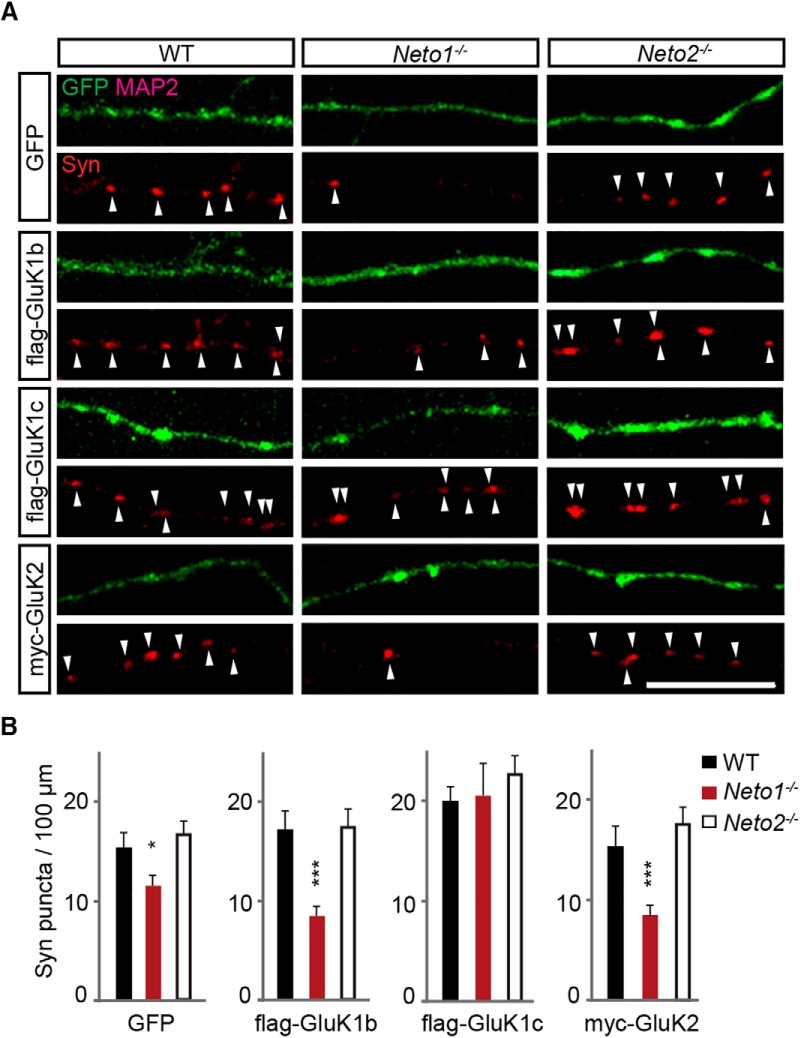 Figure 6.