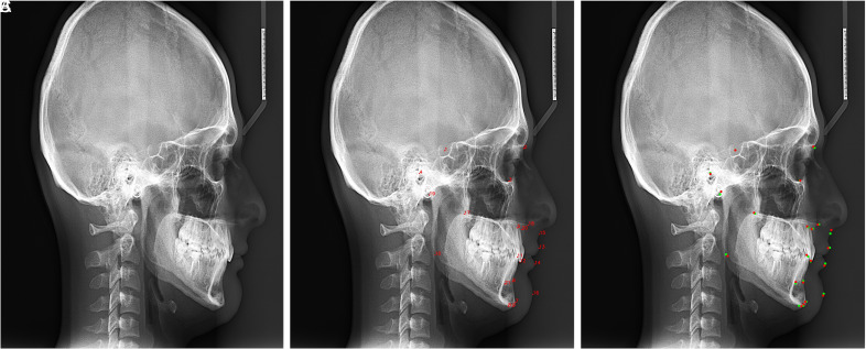 Figure 3. A-C.