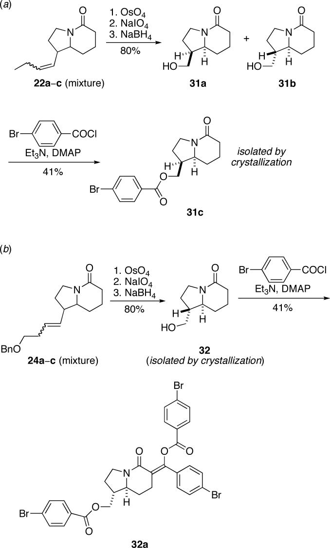 Scheme 5