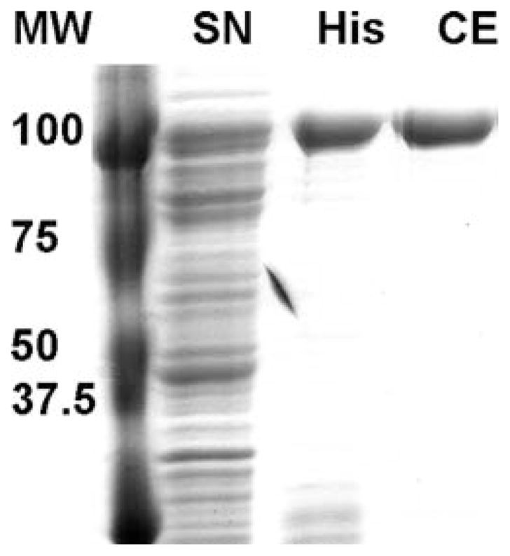 Fig. 25.1