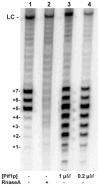 Fig. 25.2