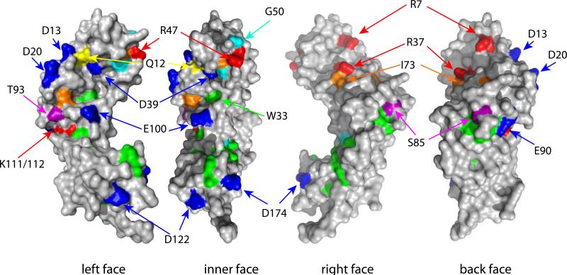 Figure 12