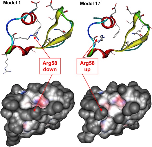 FIGURE 1.