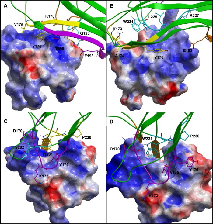 FIGURE 4.