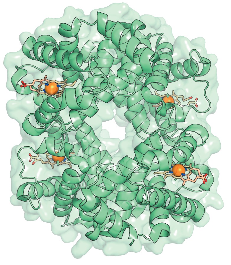 Fig. 2