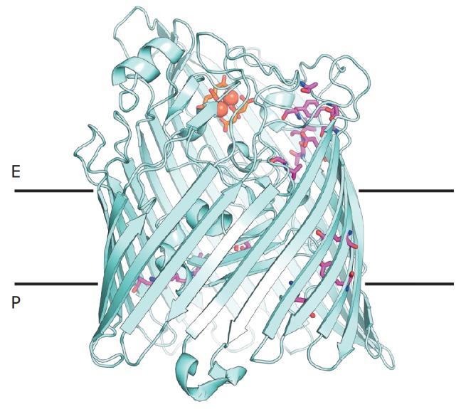 Fig. 5