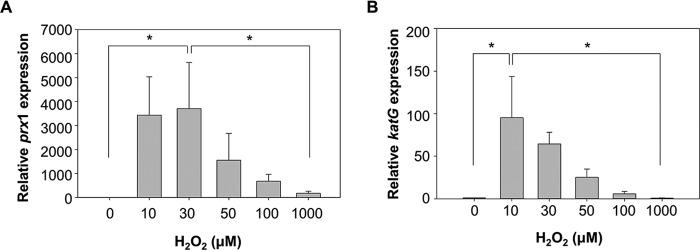 FIGURE 5.