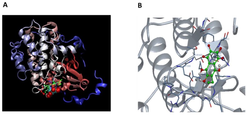 Figure 5