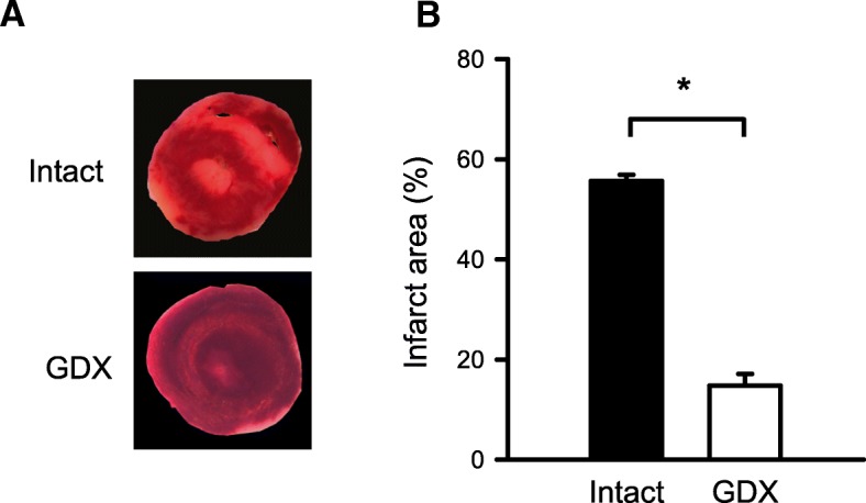 Fig. 8