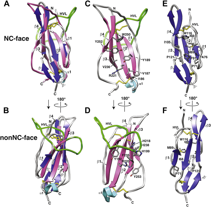 Figure 6