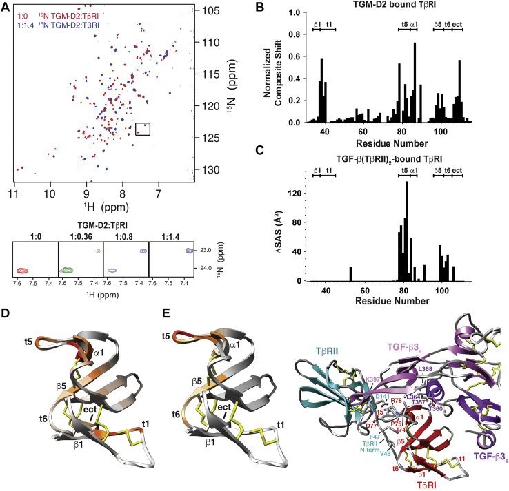 Figure 3