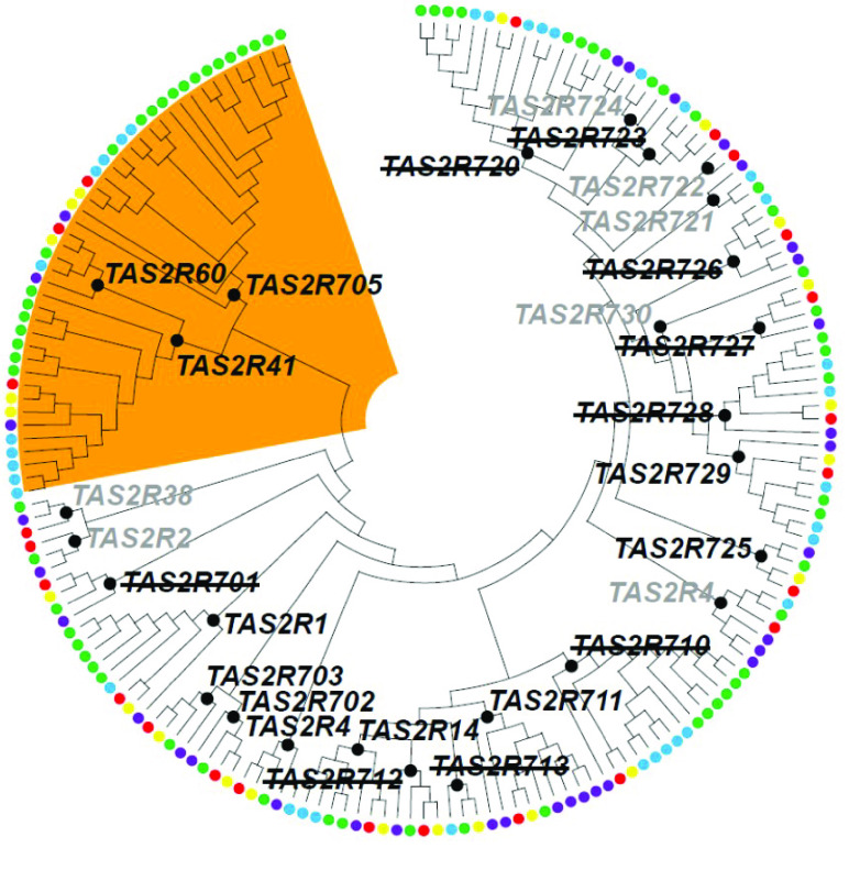 Figure 5.