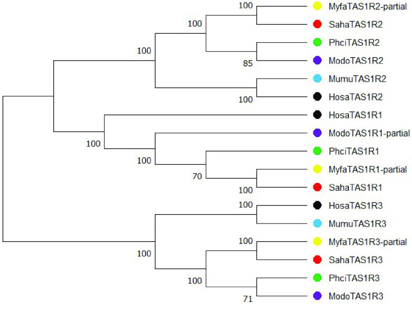 Figure 3.