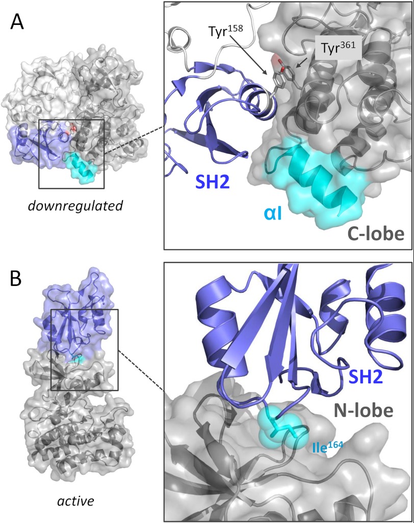 FIGURE 2.