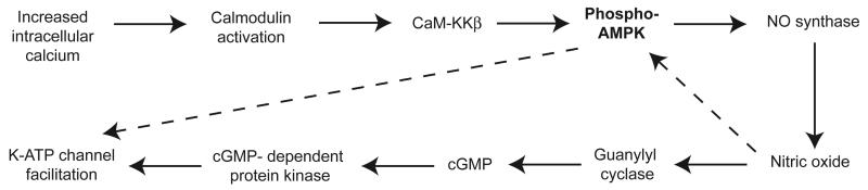 Fig. 11