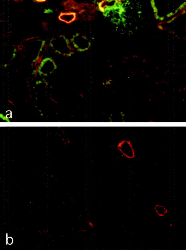 Figure 9.