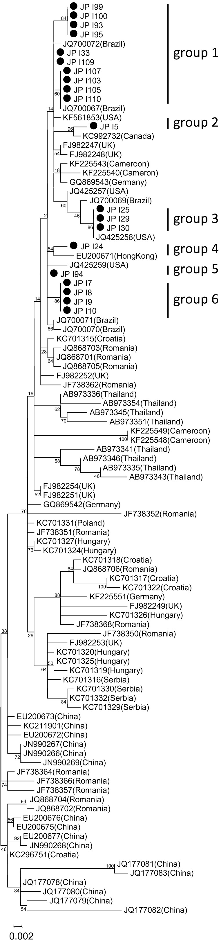 Fig. 1.