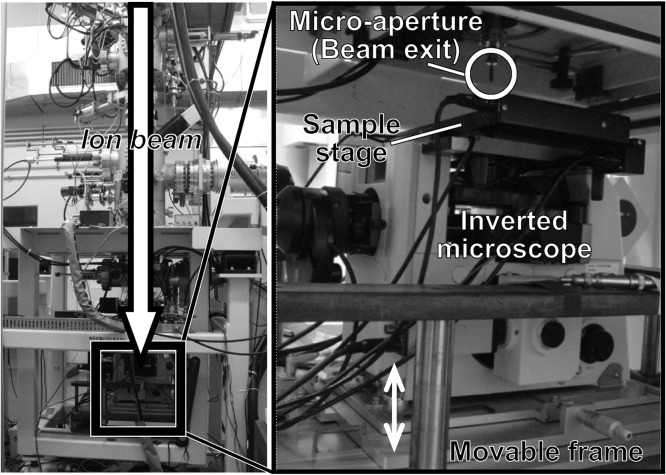 Fig. 2.