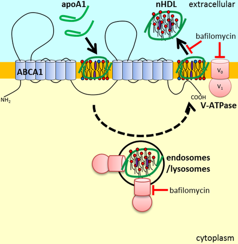 Figure 6.